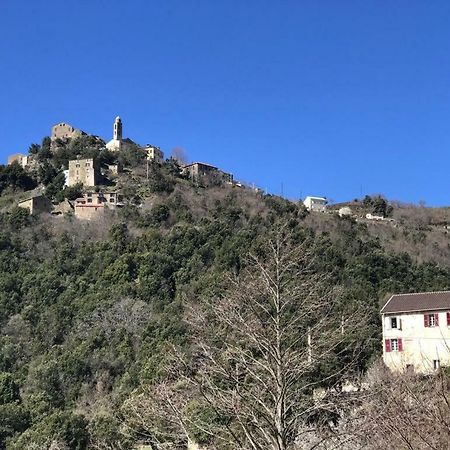 Camping L'Agrottu Au Coeur De La Corse Santa-Lucia-di-Mercurio Kültér fotó