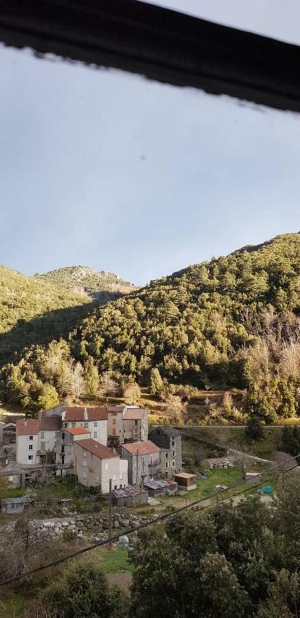 Camping L'Agrottu Au Coeur De La Corse Santa-Lucia-di-Mercurio Kültér fotó