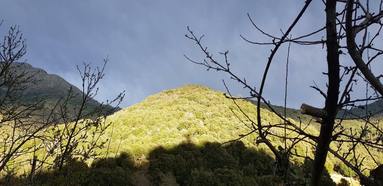 Camping L'Agrottu Au Coeur De La Corse Santa-Lucia-di-Mercurio Kültér fotó
