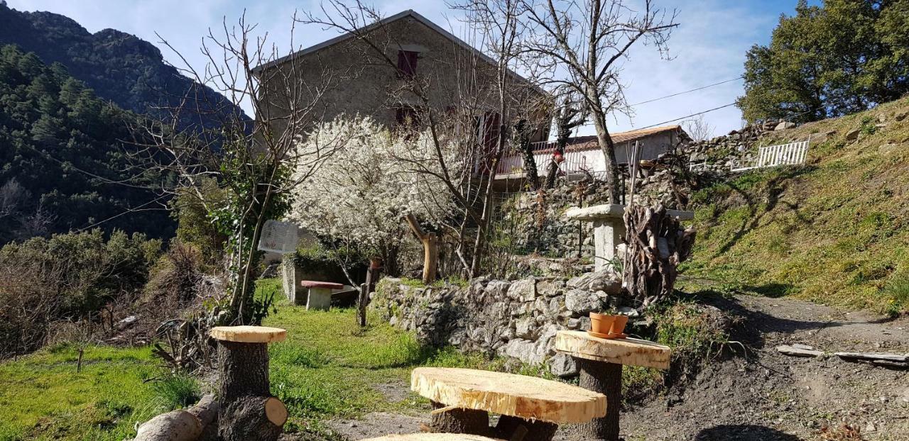 Camping L'Agrottu Au Coeur De La Corse Santa-Lucia-di-Mercurio Kültér fotó
