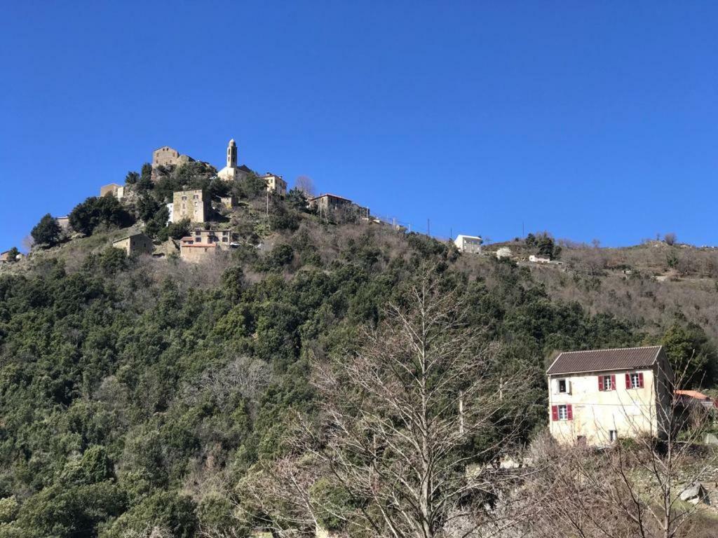 Camping L'Agrottu Au Coeur De La Corse Santa-Lucia-di-Mercurio Kültér fotó