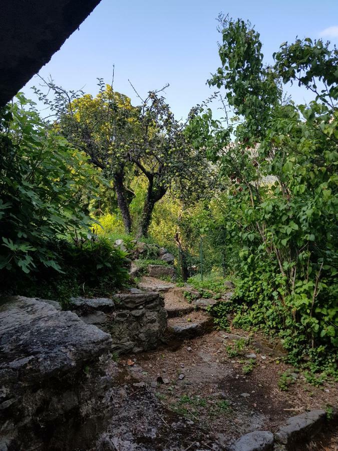Camping L'Agrottu Au Coeur De La Corse Santa-Lucia-di-Mercurio Kültér fotó