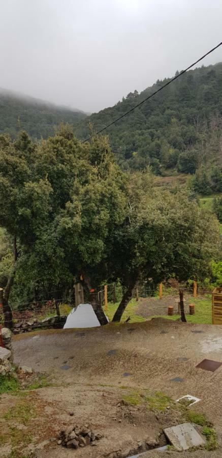 Camping L'Agrottu Au Coeur De La Corse Santa-Lucia-di-Mercurio Kültér fotó