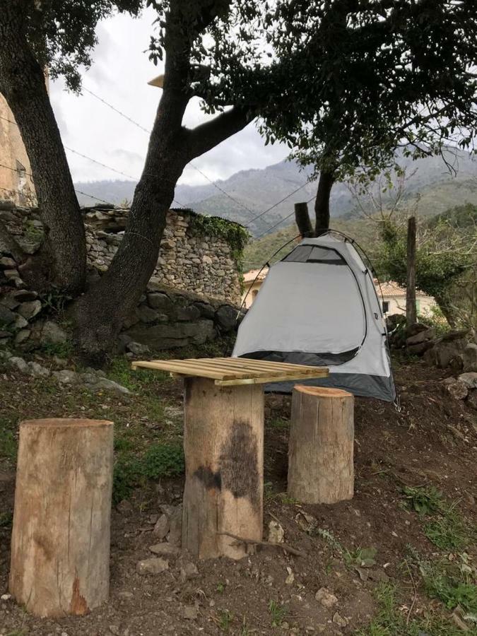 Camping L'Agrottu Au Coeur De La Corse Santa-Lucia-di-Mercurio Kültér fotó