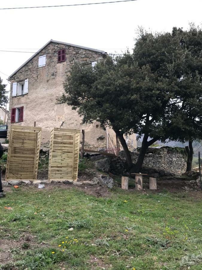 Camping L'Agrottu Au Coeur De La Corse Santa-Lucia-di-Mercurio Kültér fotó