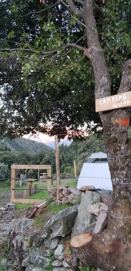 Camping L'Agrottu Au Coeur De La Corse Santa-Lucia-di-Mercurio Kültér fotó