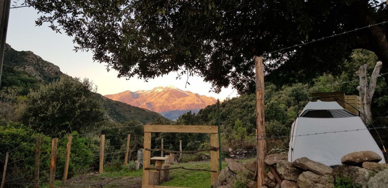 Camping L'Agrottu Au Coeur De La Corse Santa-Lucia-di-Mercurio Kültér fotó