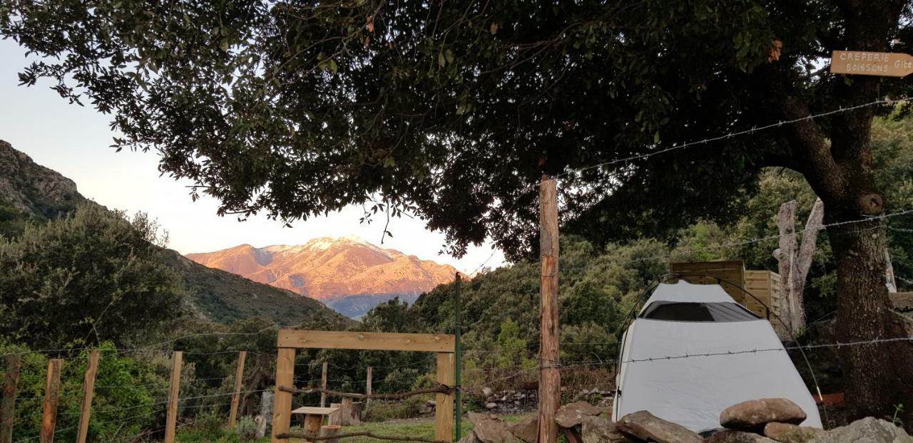 Camping L'Agrottu Au Coeur De La Corse Santa-Lucia-di-Mercurio Kültér fotó