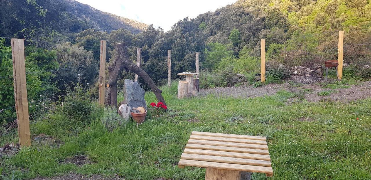 Camping L'Agrottu Au Coeur De La Corse Santa-Lucia-di-Mercurio Kültér fotó