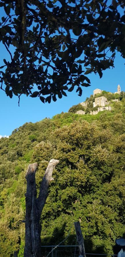 Camping L'Agrottu Au Coeur De La Corse Santa-Lucia-di-Mercurio Kültér fotó