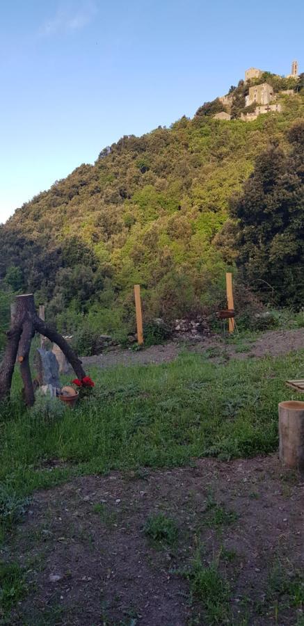 Camping L'Agrottu Au Coeur De La Corse Santa-Lucia-di-Mercurio Kültér fotó